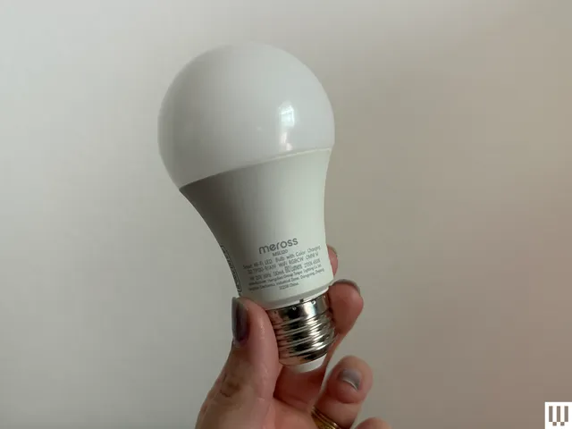 Image may contain: Light, Bottle, Shaker, and Lightbulb