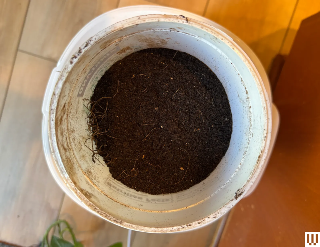 Best Kitchen Composters and Food Recyclers