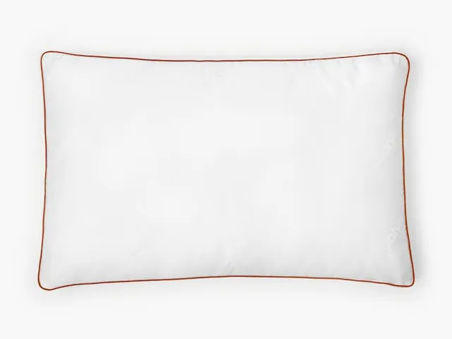 Image may contain: Cushion, Home Decor, Pillow, and White Board