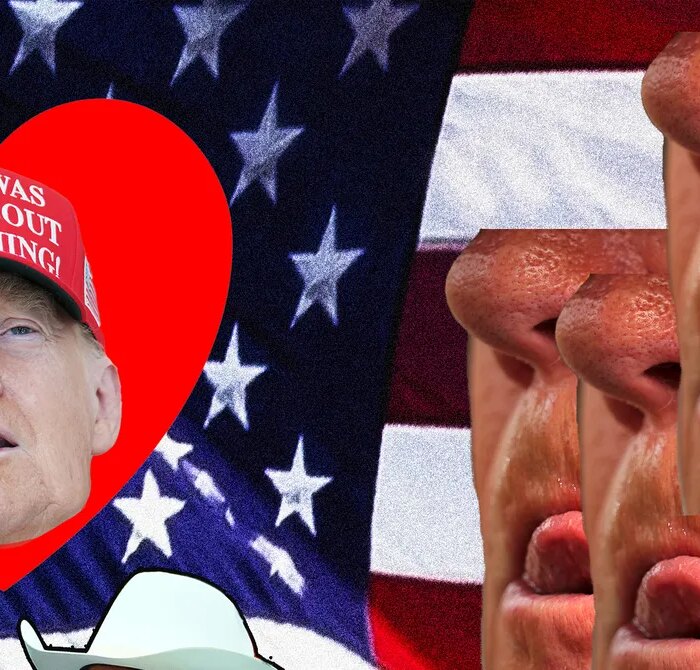 A White House Staffer Appears to Run Massive Pro-Trump X Account