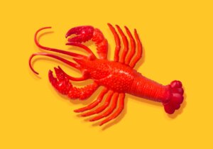 After all the hype, some AI experts don't think OpenClaw is all that exciting