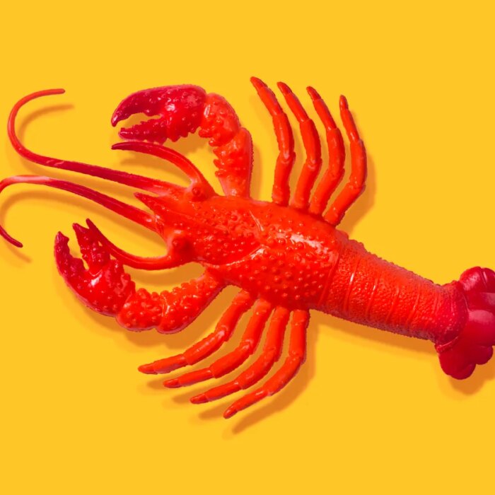 After all the hype, some AI experts don't think OpenClaw is all that exciting