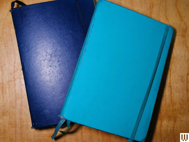 Image may contain: Book, Publication, Diary, File Binder, and File Folder