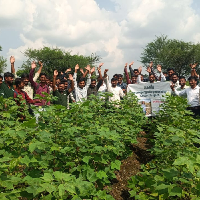 India's Varaha bags $20M to scale carbon removal from the Global South