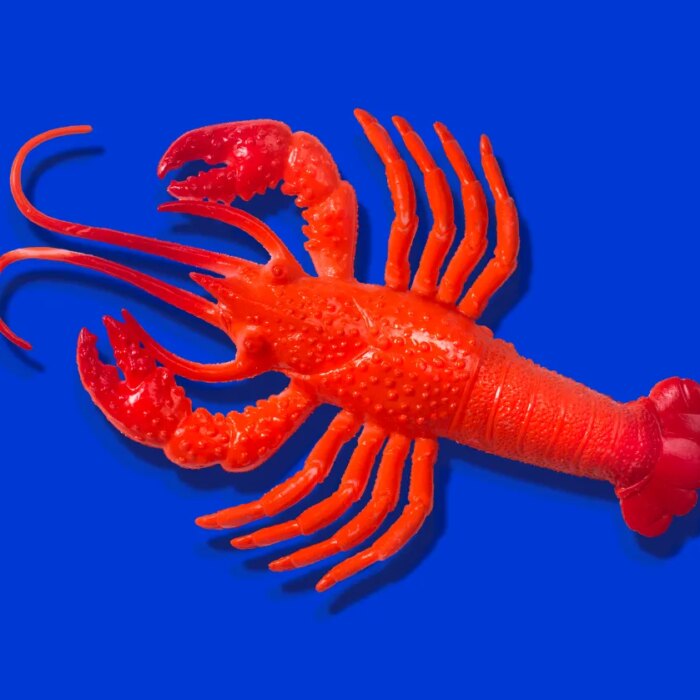 Red rubber lobster toy on blue background