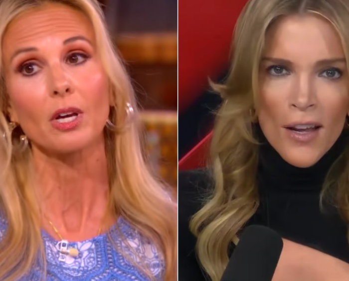Elisabeth Hasselbeck Slams Megyn Kelly Over U.S. Troops on The View