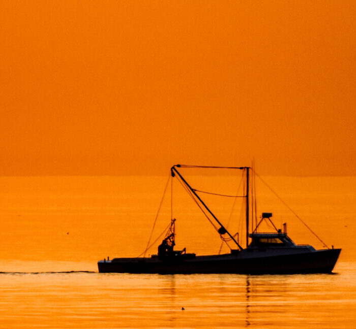 Fishing crews in the Atlantic keep accidentally dredging up chemical weapons