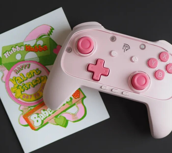 My Switch 2 thinks the $40 S10 Lite is Nintendo’s $90 controller