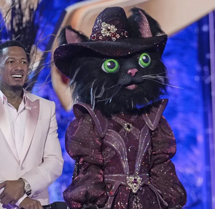 The Masked Singer Season 14 Episode 11 Reveal: Pangolin