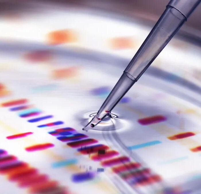 Pipette adding sample to petri dish with DNA profiles in background