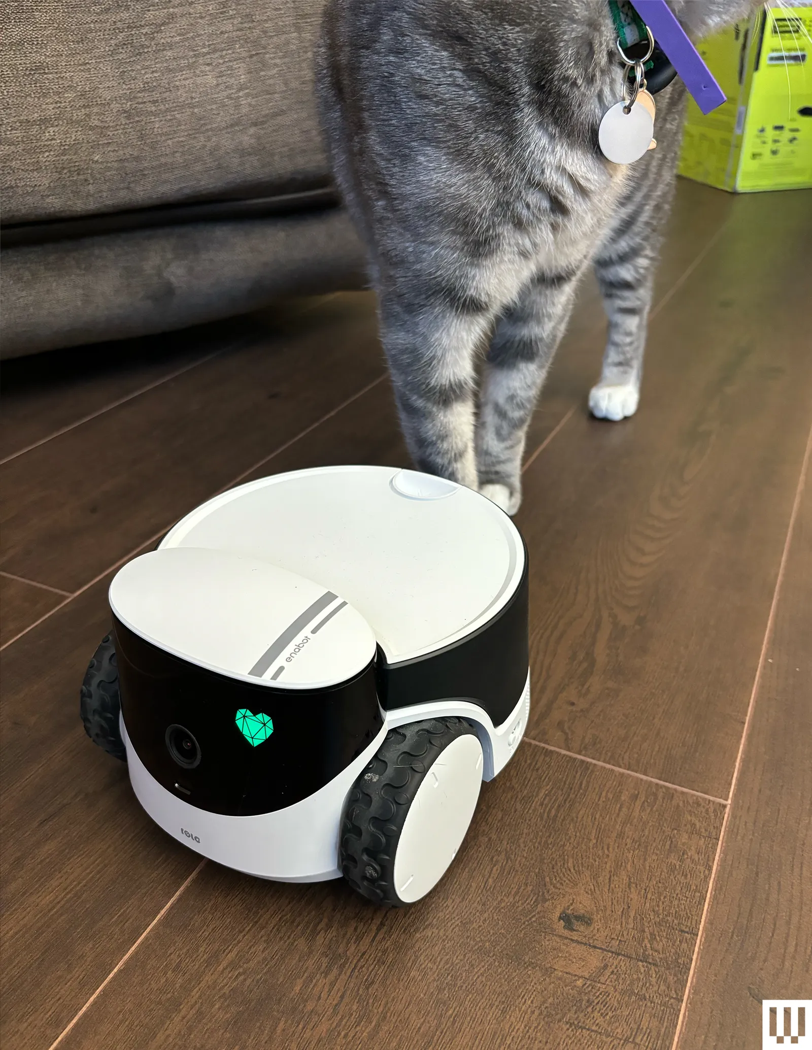 White pet camera on wheels with black screen and green heart display sits on a wood floor with gray cat paws in background.