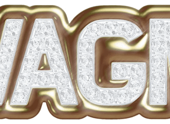WAGMI in blinged out gilded text.