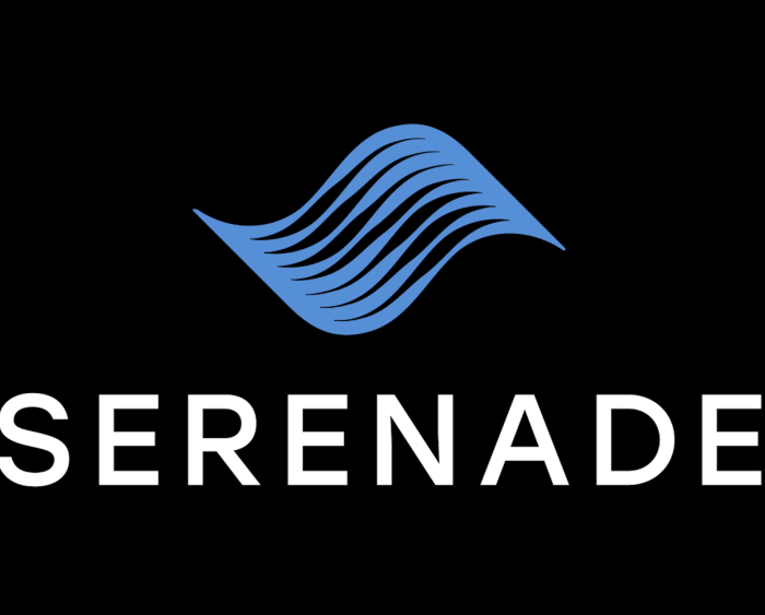 Josh Penn Launches Serenade, Production Company