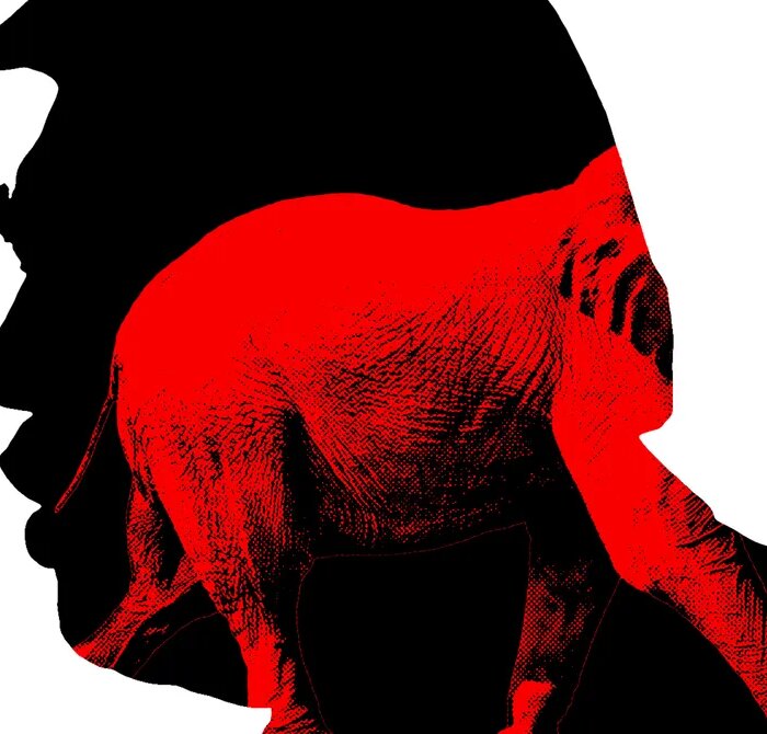 MAGA Is Starting to Look Beyond Trump