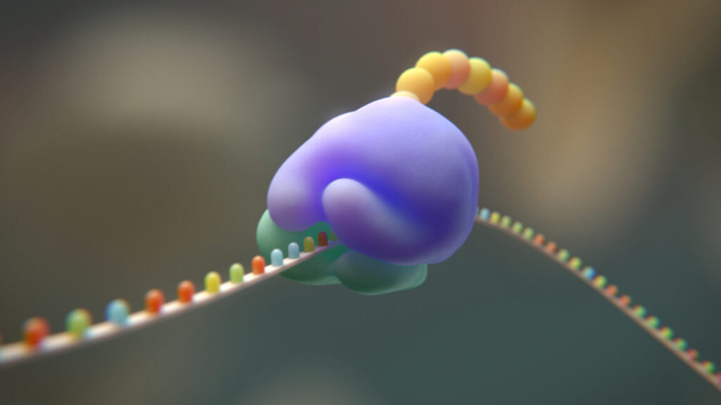 Researchers try to cut the genetic code from 20 to 19 amino acids