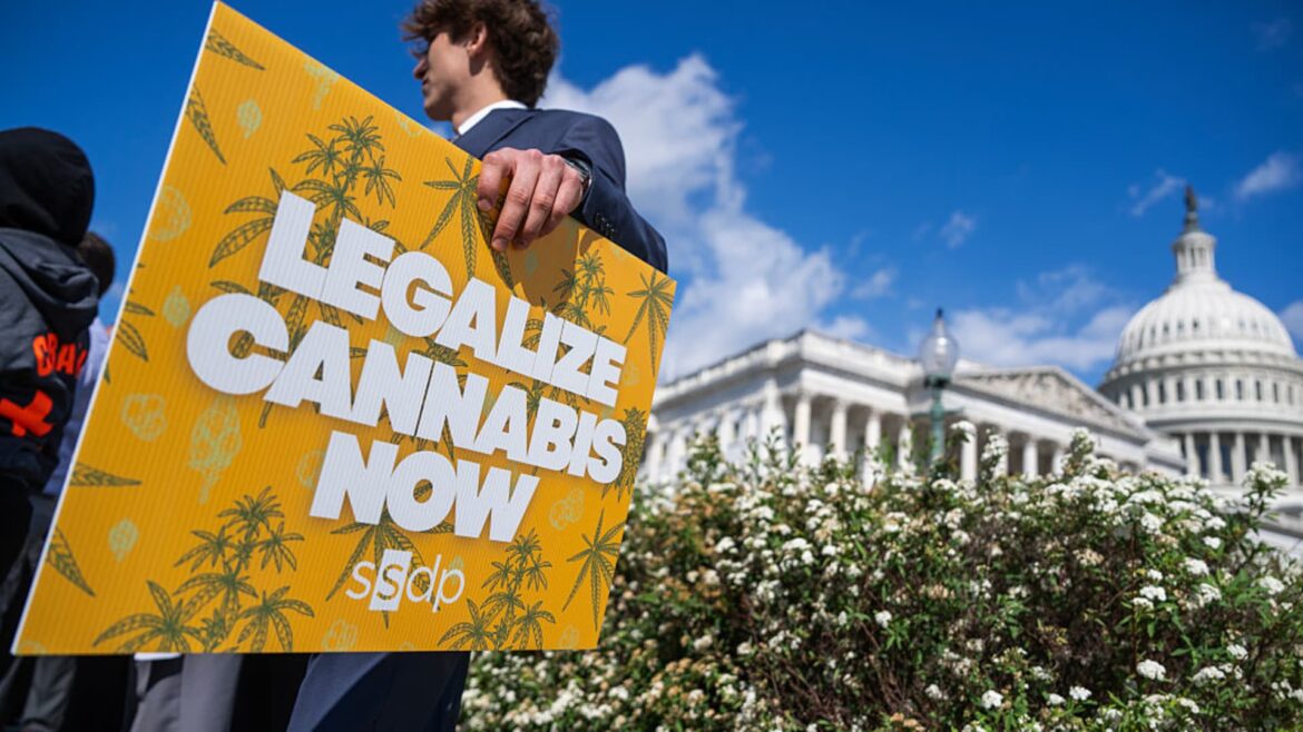 Trump psychedelics executive order and what it means for cannabis