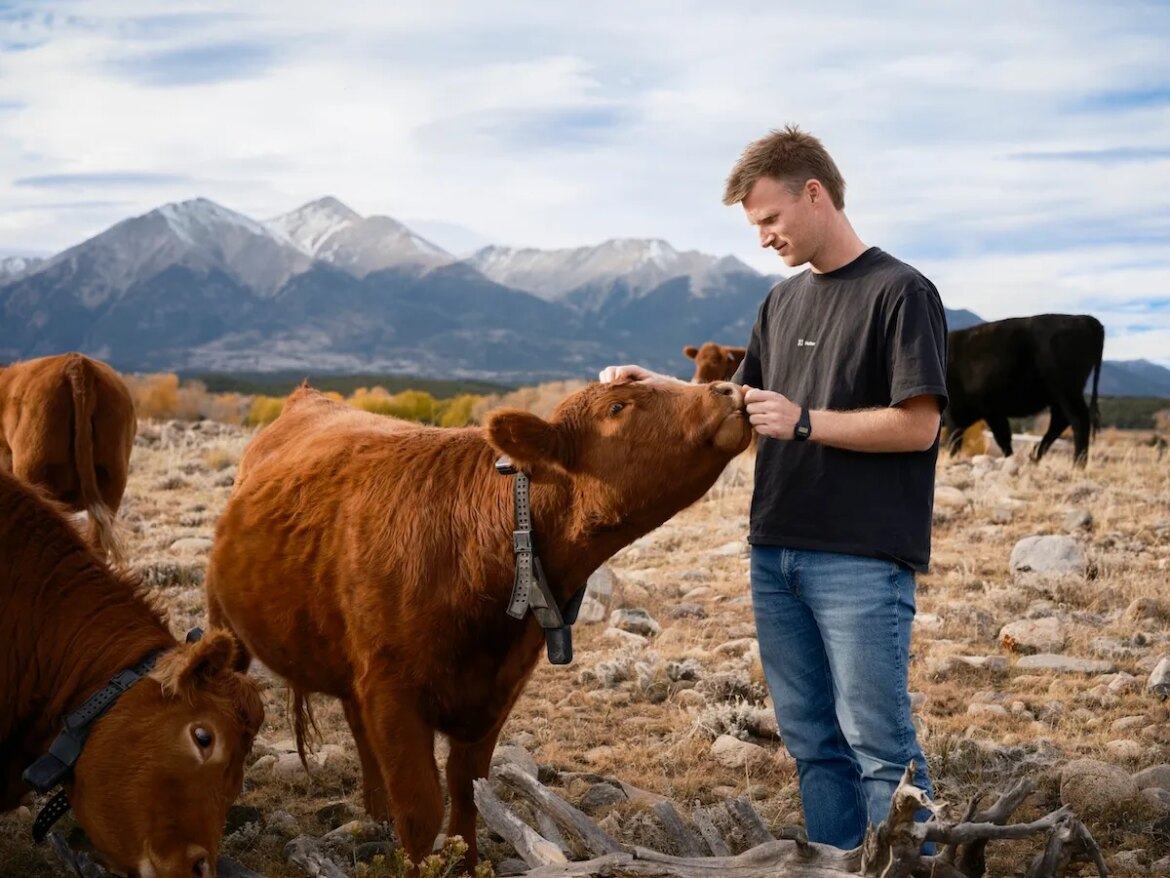 Unpacking Peter Thiel's big bet on solar-powered cow collars