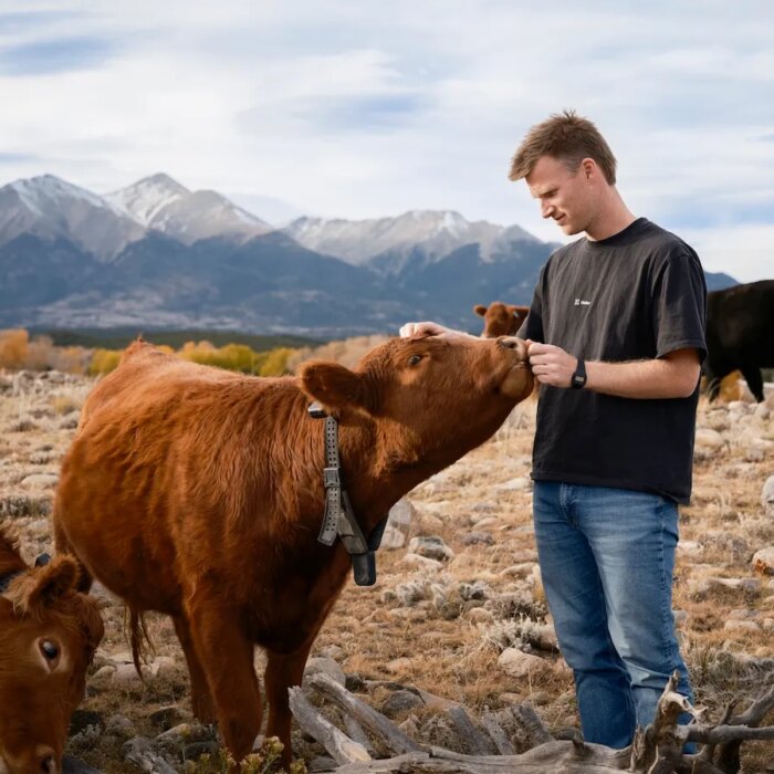 Unpacking Peter Thiel's big bet on solar-powered cow collars