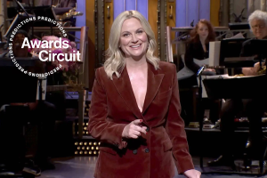 Amy Poehler