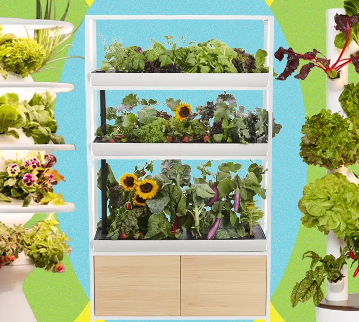 Best Indoor Garden Systems: I've Been Testing All Year (2026)