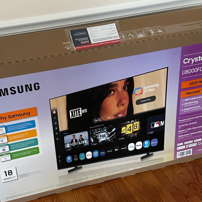 Dua Lipa Sues Samsung for Exploiting Her Image to Sell TVs
