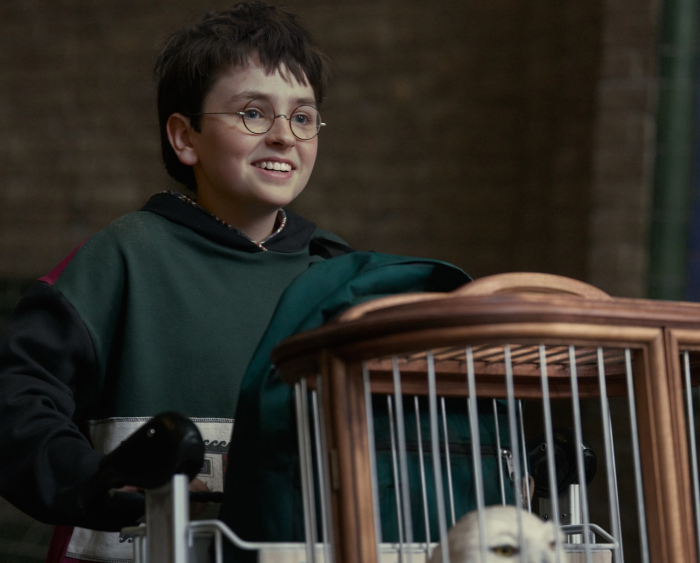 Harry Potter Renewed for Season 2; HBO's Chamber of Secrets Films This Fall