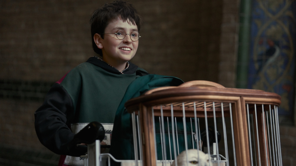 Harry Potter Renewed for Season 2; HBO's Chamber of Secrets Films This Fall