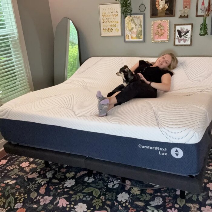 Person laying on a large blue and white mattress with a dog on their lap