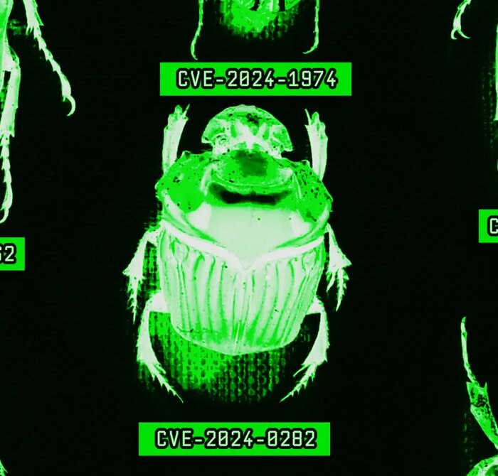 The AI Era Is Creating a Bug Hunting Arms Race