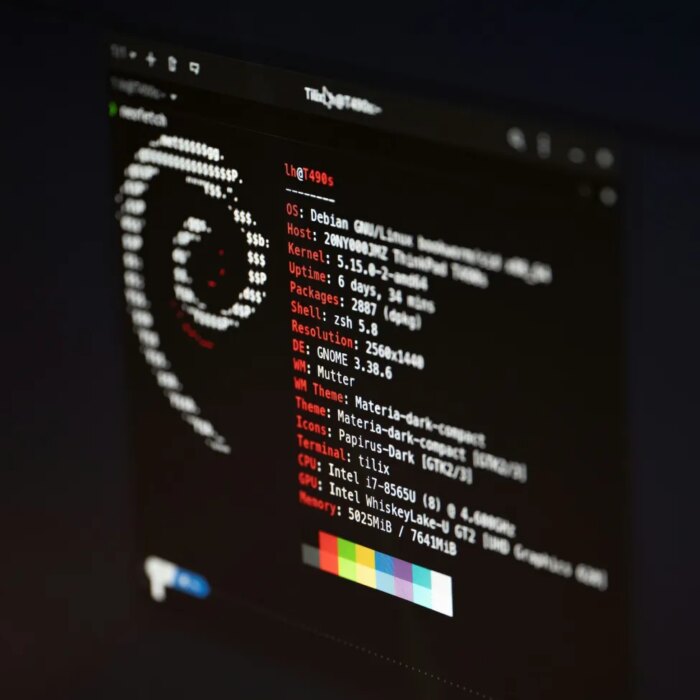 a screenshot of Debian Linux on a black screen with a white terminal font