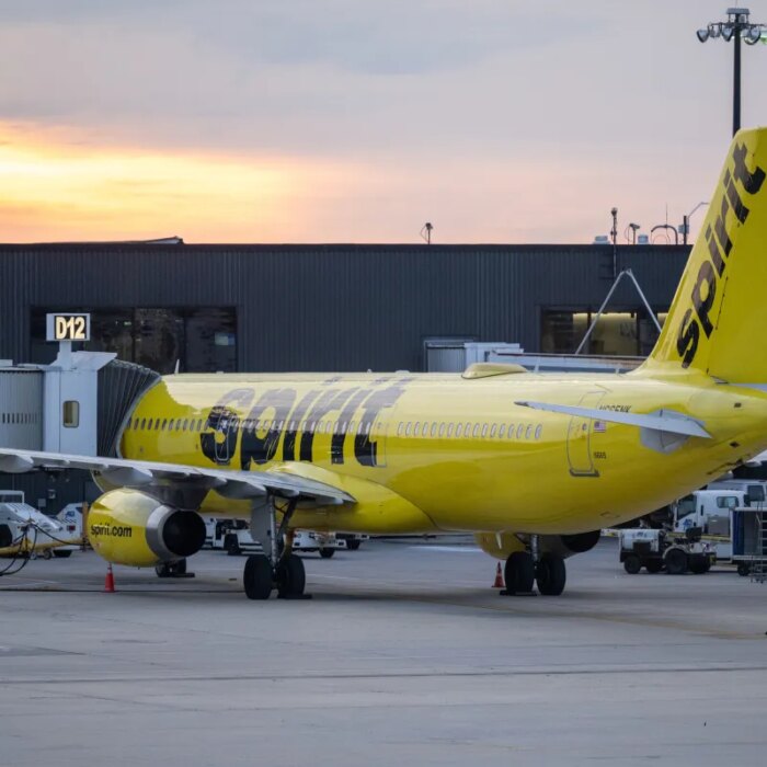 We'll take it: a TikToker rallies pledges to buy Spirit Airlines after its abrupt weekend collapse