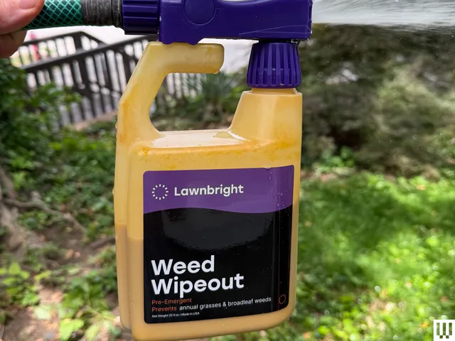Plastic container attached to a hose with a lush green backyard in the background
