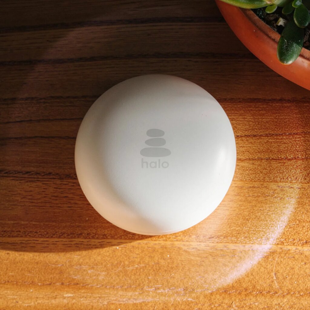 Image may contain Plate Computer Hardware Electronics Hardware Mouse Plant Egg and Food
