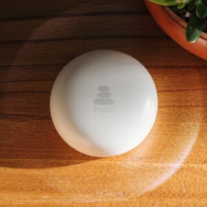 Image may contain Plate Computer Hardware Electronics Hardware Mouse Plant Egg and Food