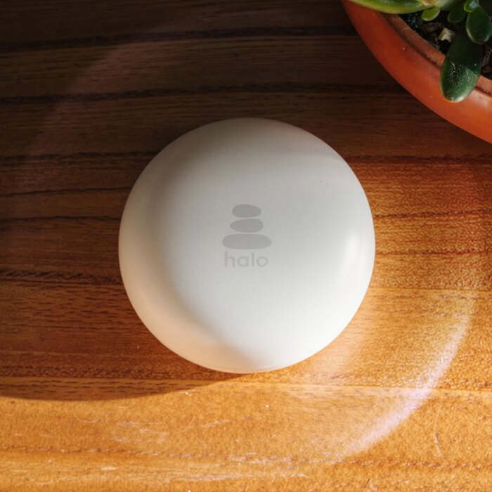 Image may contain Plate Computer Hardware Electronics Hardware Mouse Plant Egg and Food