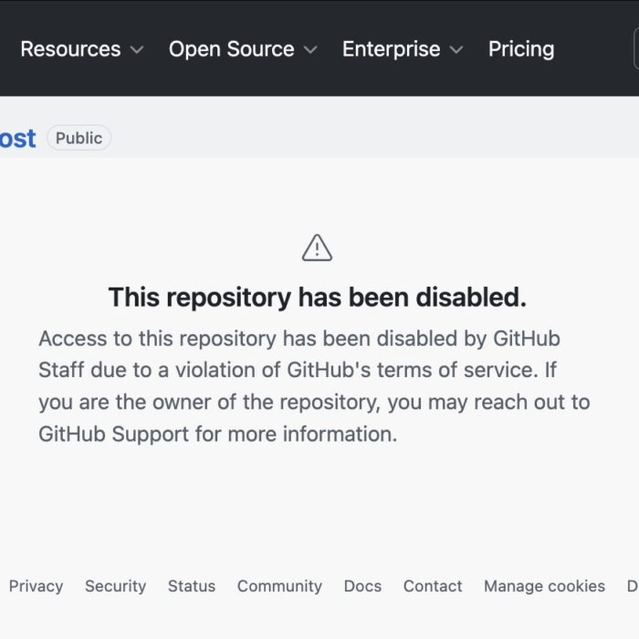 a screenshot showing a disabled github repo: reading — "This repository has been disabled. Access to this repository has been disabled by GitHub Staff due to a violation of GitHub's terms of service. If you are the owner of the repository, you may reach out to GitHub Support for more information."