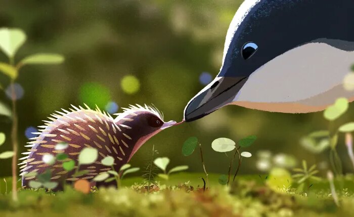 'Shooom's Odyssey' Follow-Up 'The Little Run' to Charades, Diaphana