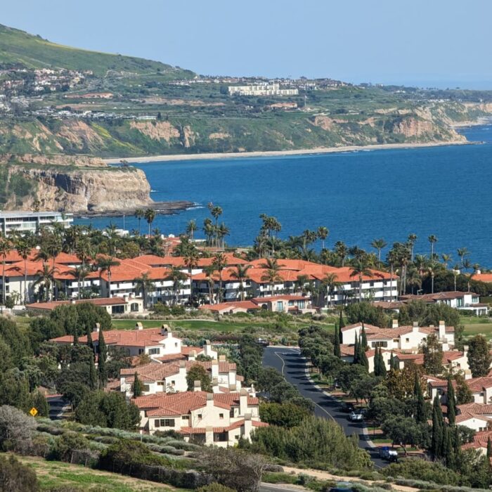 SpaceX millionaires set to spend on luxury homes, watches, travel