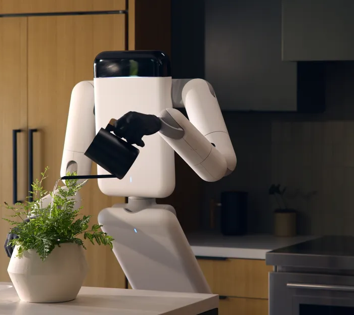 The next humanoid robot might not look human at all