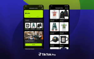 TikTok launches TikTok Pro Events, an app for cultural moments like the FIFA World Cup