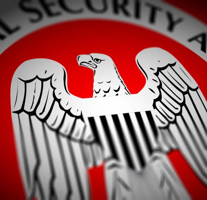 the NSA