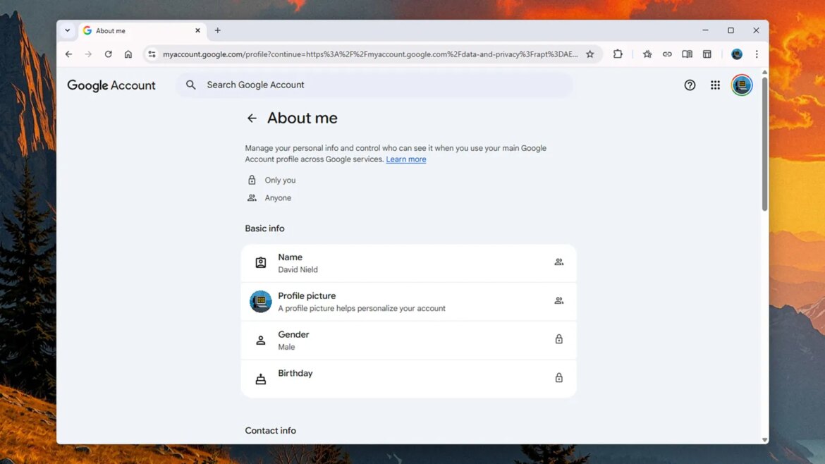 Settings for your Google Profile Information