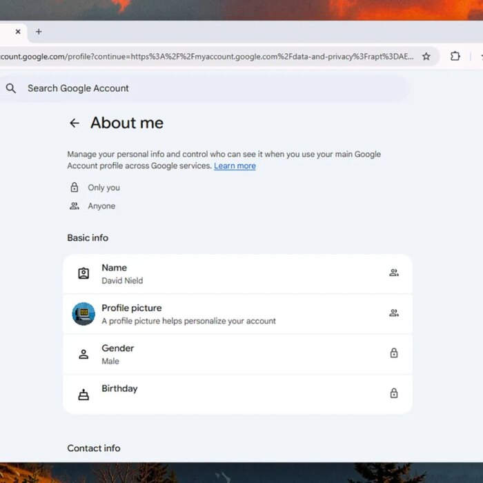 Settings for your Google Profile Information