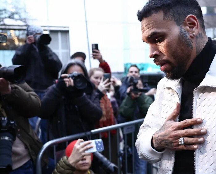 Chris Brown Must Pay Housekeeper $13 Million for Dog Mauling