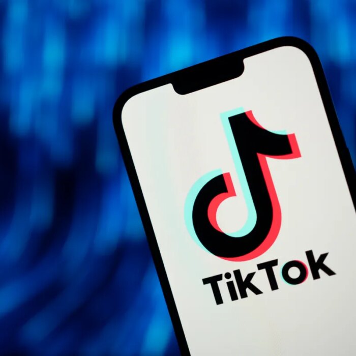 Federal employees can download TikTok on their work phones again