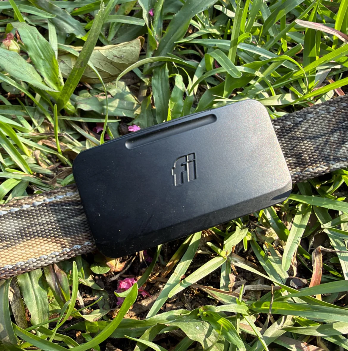 Hands-on with the Fi Ultra Starlink-enabled pet tracker