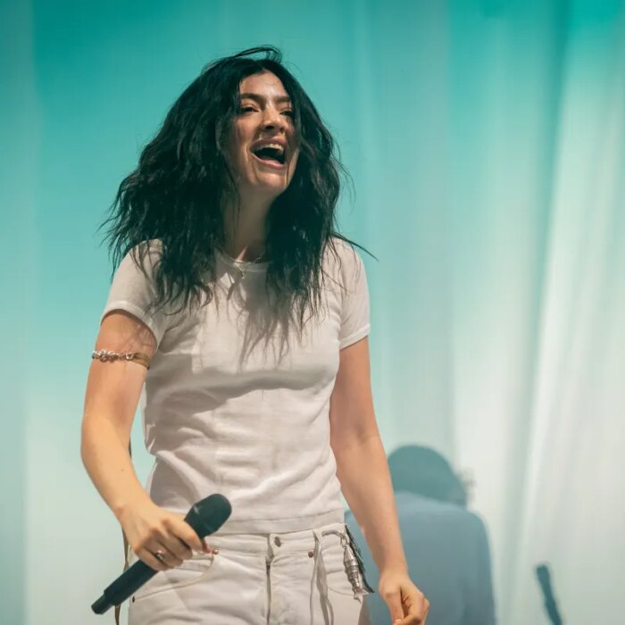 Lorde says AI glasses are "not sexy"