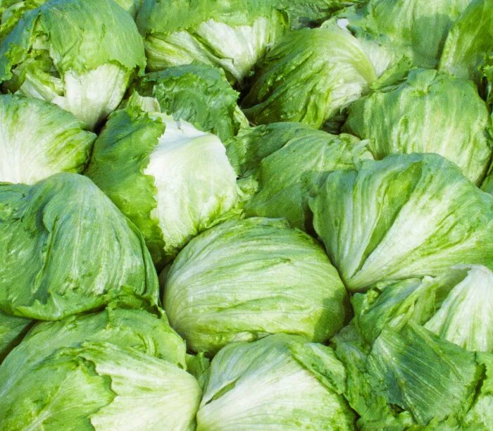 Taylor Farms pulls iceberg lettuce from the US market after cyclosporiasis outbreak