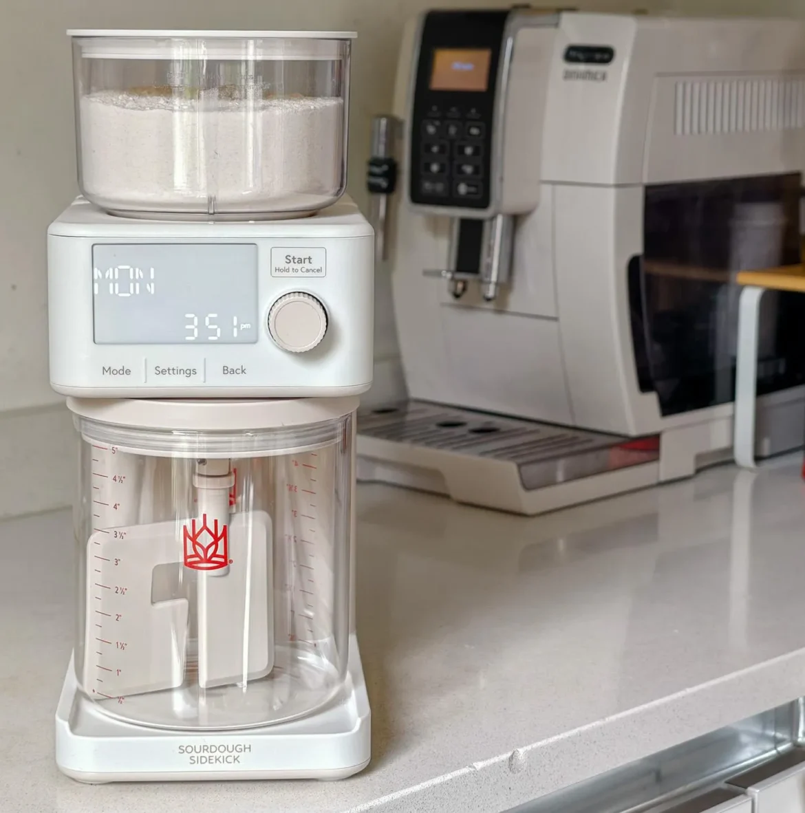 Photo of the Sourdough Sidekick on a kitchen counter